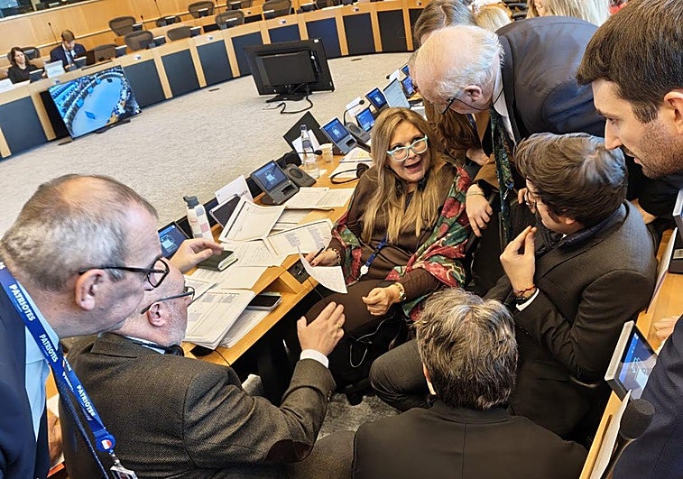 Europa autoriza por primera vez el uso de fondos comunitarios para arrancar viñedo